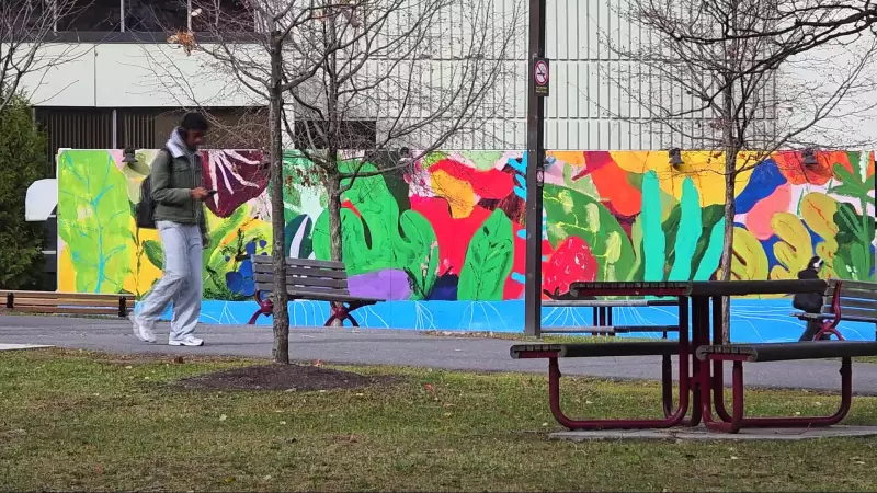 Ottawa Weekend Snowfall Forecast: Will Winter Arrive Early?