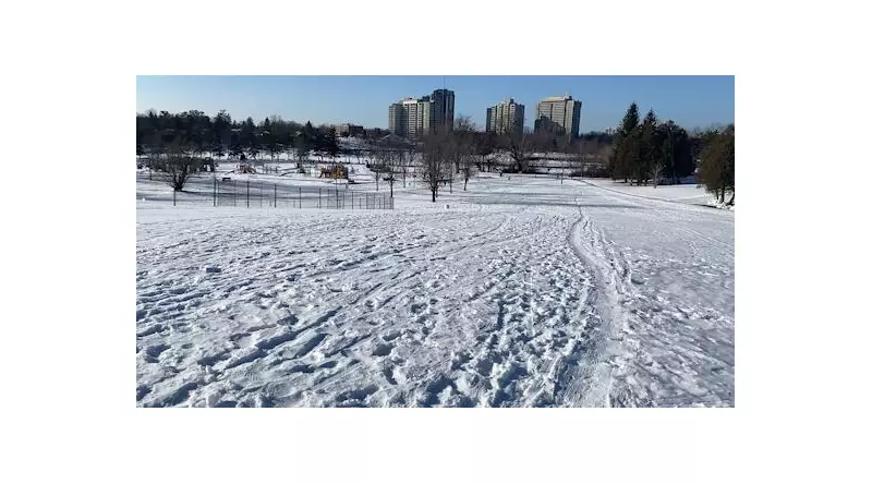 Ottawa's $3.1M Plan to Transform Mooney's Bay into Premier Sledding Destination