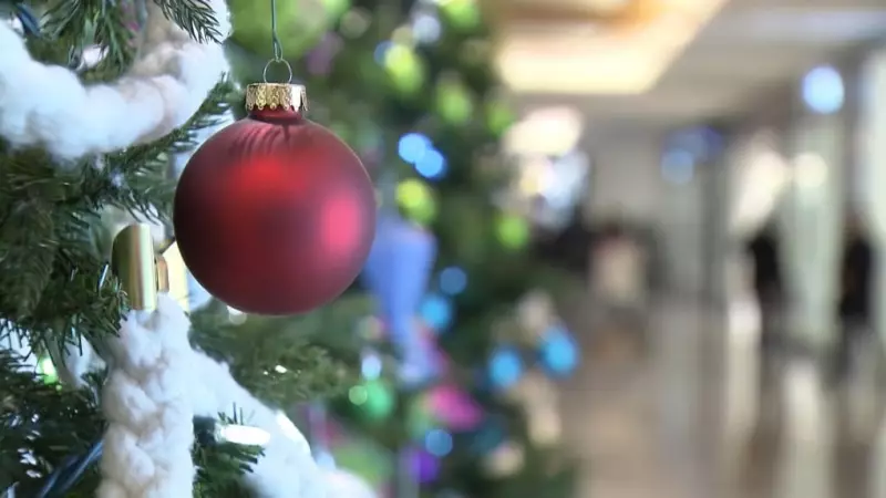 Ottawa's Christmas Markets 2025: Festive Season Guide