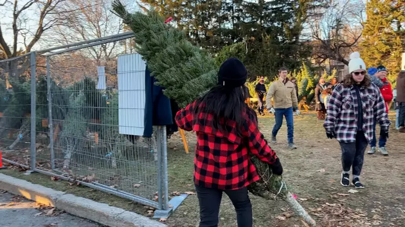 Ottawa's Christmas Tree Sales Support Mental Health Charity