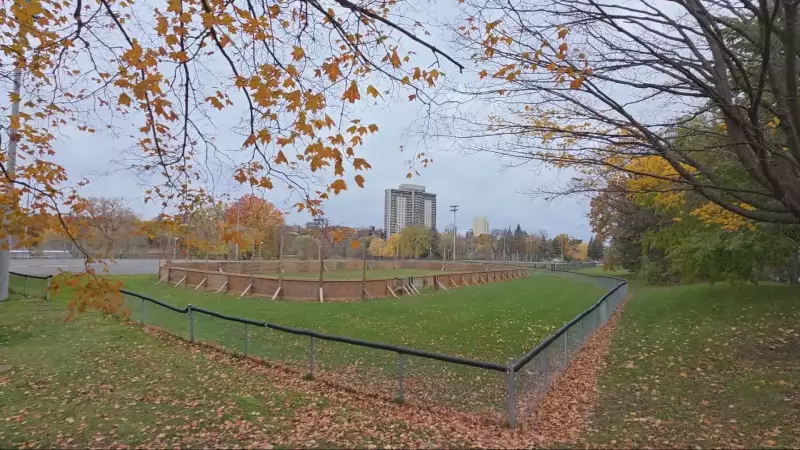 Ottawa's First Snowfall: 5-15 cm Expected This Weekend
