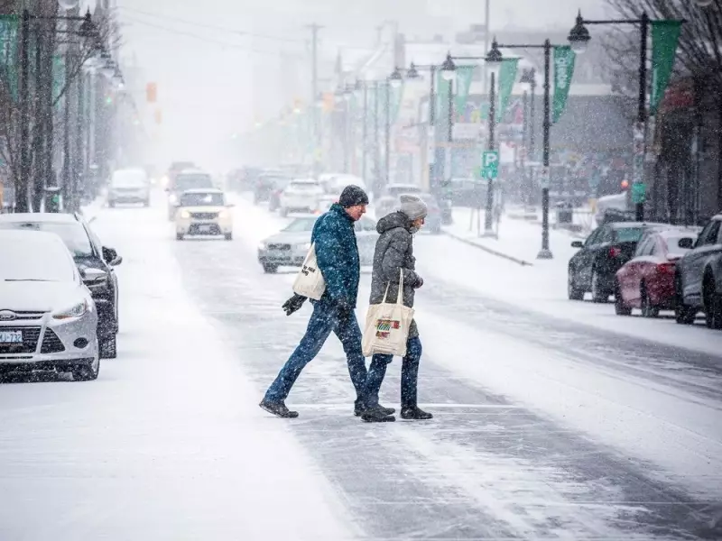 Ottawa's First Snowfall Warning of 2025: 5-10 cm Expected