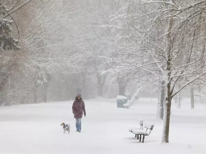 Ottawa's Snow Removal Standards Frozen in Time Since 2003