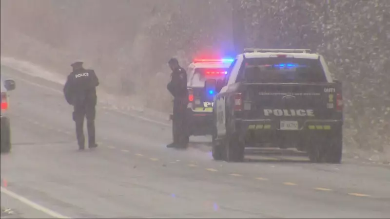 Over 200 Crashes on GTA Roads as Snowfall Creates Hazardous Conditions
