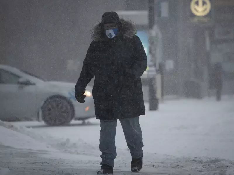 Over 225,000 Quebec Homes Lose Power in First Major Snowstorm