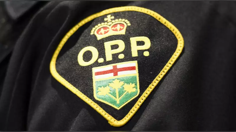 Paris, Ontario Shooting Damages Home and Vehicle in Late November Incident