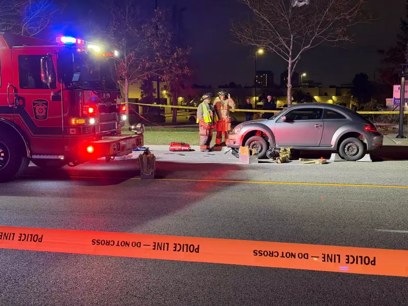 Peel Newsboy Dies After Mississauga Collision, Second Victim Critical