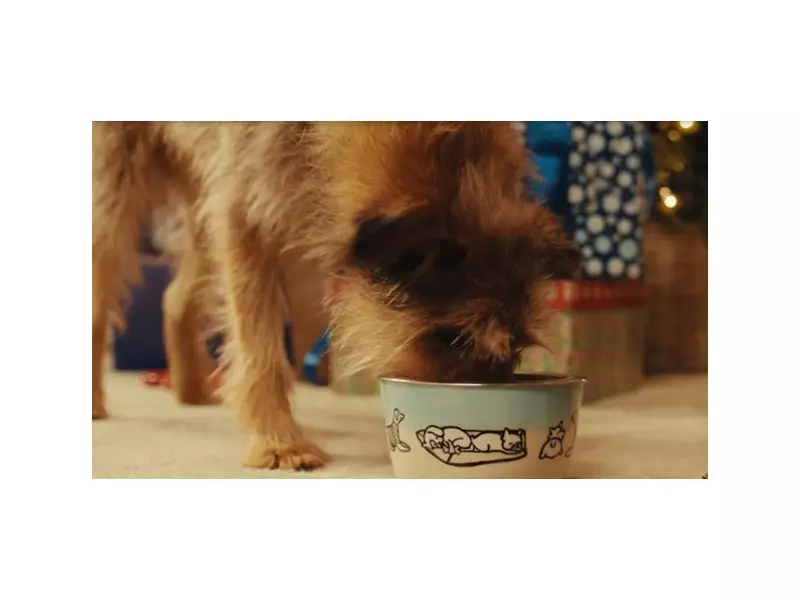 Pet Valu's Holiday Guide: Feast on Love with Your Pets