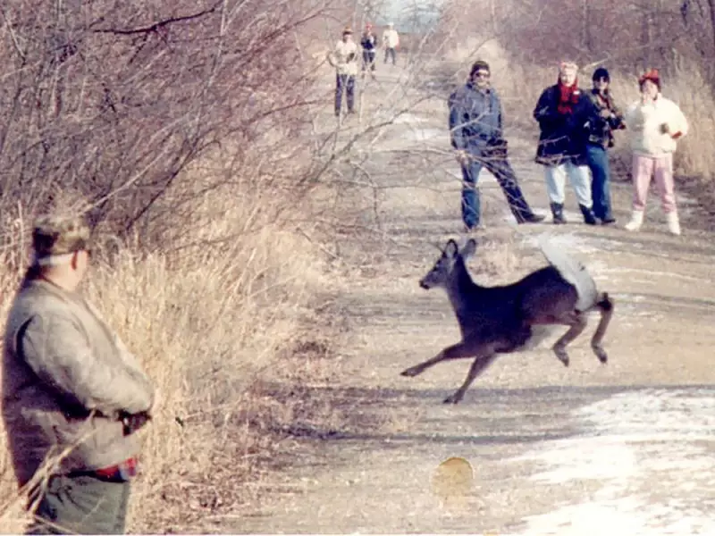 Point Pelee National Park Closes Nov. 14 for Annual Deer Cull