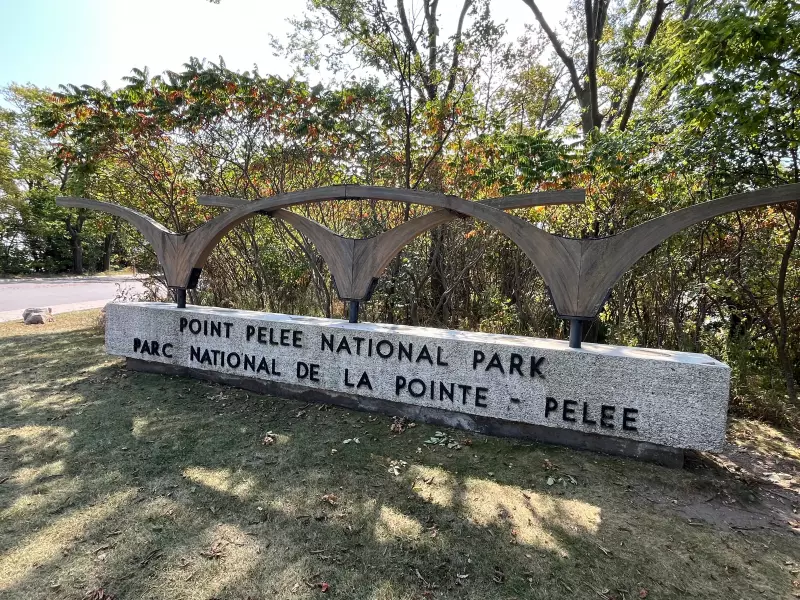 Point Pelee National Park to Close for Annual Deer Cull in November 2025