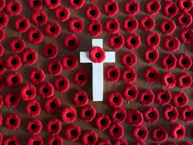 Proper Way to Read In Flanders Fields Poem Revealed | Ottawa Insight