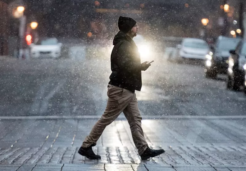 Quebec's Week Starts with Wintry Mix of Rain, Snow, and Sleet