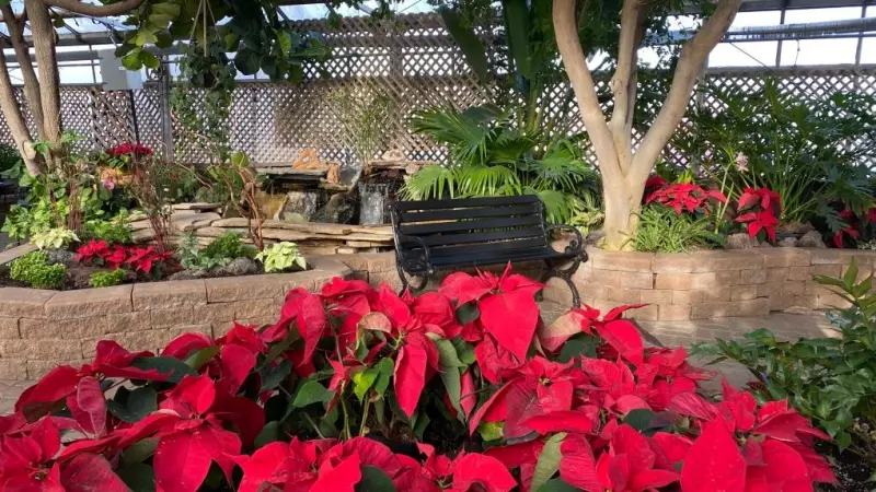 Regina Floral Conservatory Faces Possible Funding Cuts Ahead of Budget Talks