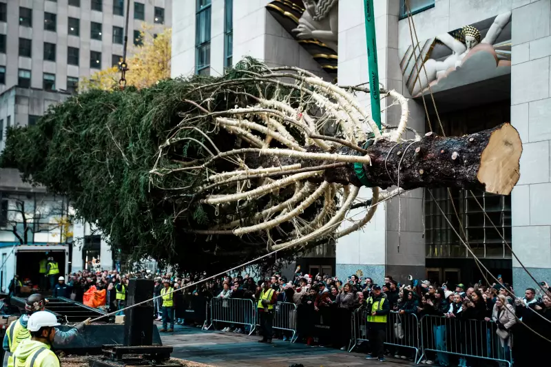 Rockefeller Center Christmas Tree Arrives in NYC for 2025 Holiday Season
