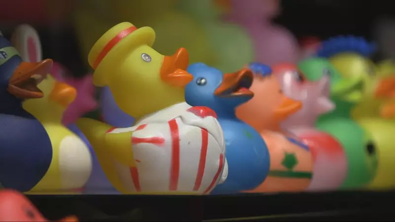 Rubber Duck Museum Makes Splash with Move from Washington to B.C.