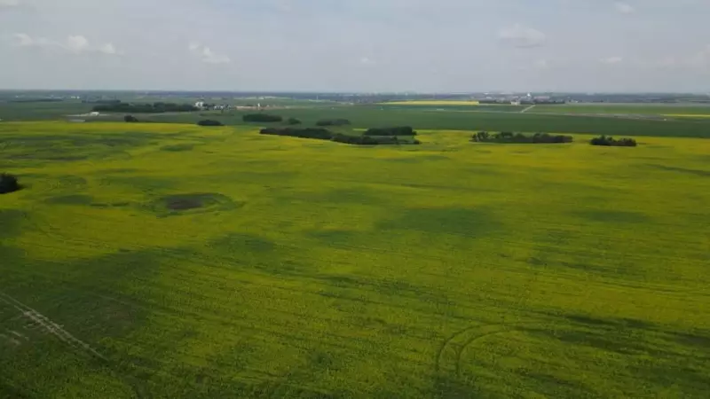 Saskatchewan NDP Alleges Illegal Foreign Farmland Purchases