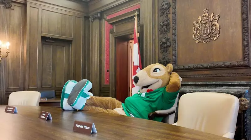 Saskatchewan Officially Declares Green and White Day to Honour Football Legacy