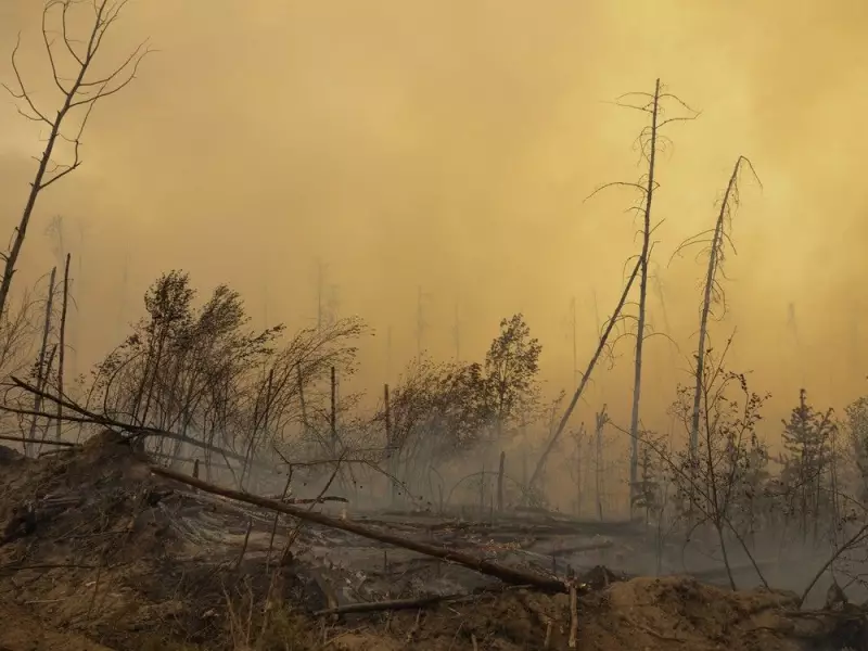 Saskatchewan's Inferno: A Record-Breaking Wildfire Season That Reshaped a Province