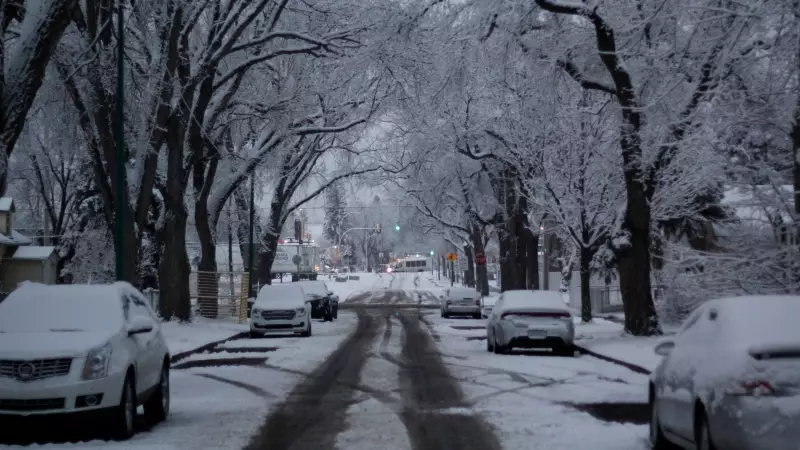 Saskatoon De-icing Crews Tackle Slushy Aftermath of Overnight Snowfall