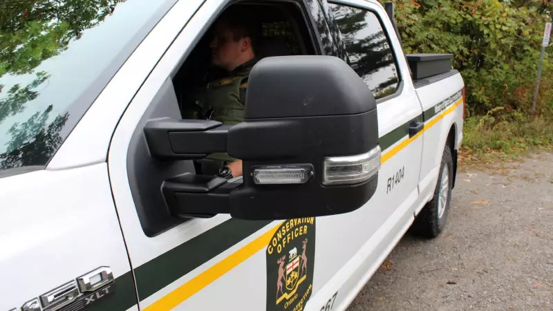 Second Moose Illegally Shot and Dumped Near Sault Ste. Marie