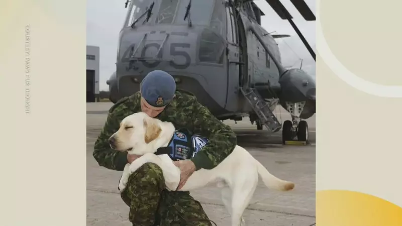 Service Dogs Transform Lives of Canadian Veterans with PTSD
