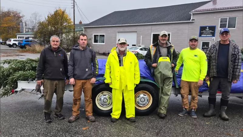 Shelburne's Secret Christmas Tree Gift to U.S. Spans Decades