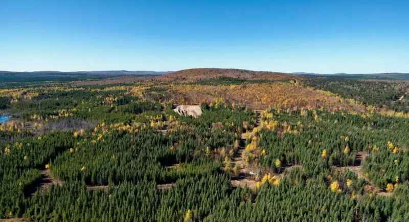 Sisson Mine's Nation-Building List Inclusion Draws Tepid Response