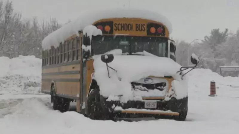 Snow Squalls Force Widespread School Bus Cancellations in Simcoe County