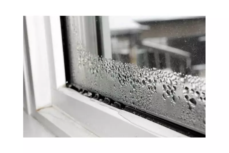 Stop Window Condensation: Expert Tips for Canadian Homes