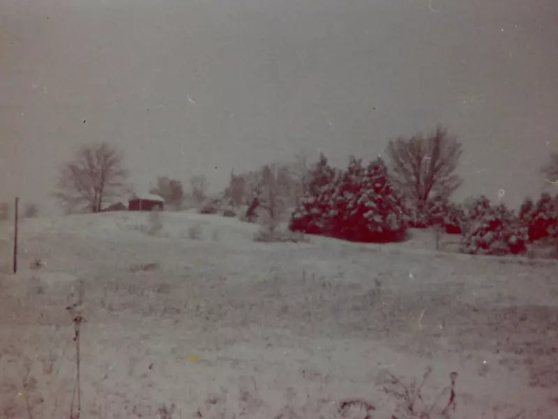 Thanksgiving 1980: A Canadian's Unforgettable Night in a Stranger's Home