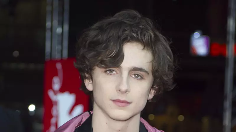 Timothée Chalamet Defied Publicist Over 2017 Pink Raincoat Fashion