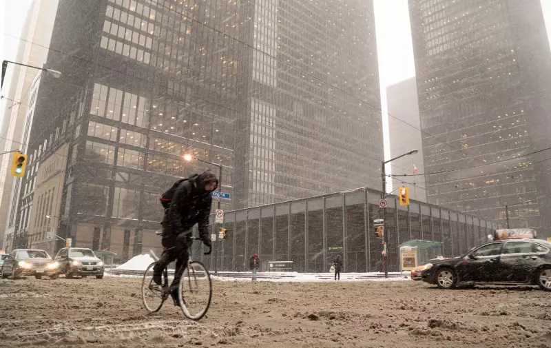 Toronto Braces for 2-10 cm of Snow with Special Weather Statement