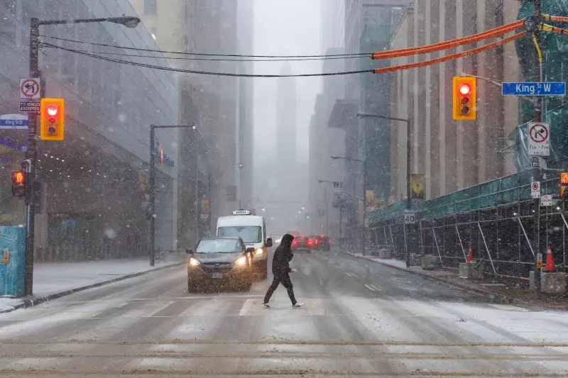 Toronto Braces for First Winter Snowfall with Up to 10 cm Expected Sunday