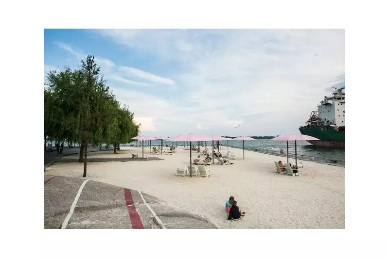 Toronto Police Rescue Man from Lake Ontario, Issue Cold Water Warning