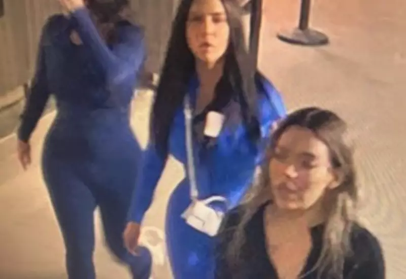 Toronto Police Seek Three Women in Concert Cellphone Theft and Assault