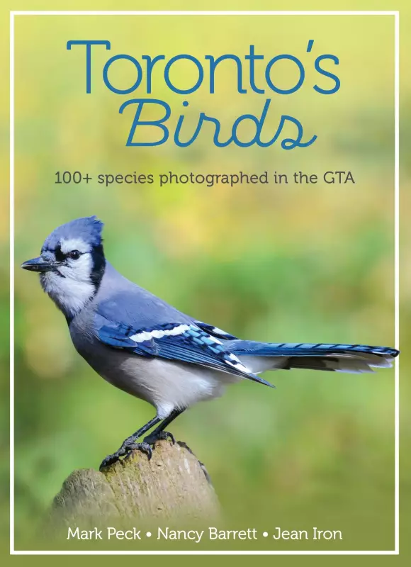 Toronto's Birds: New Book Showcases GTA's 400+ Bird Species