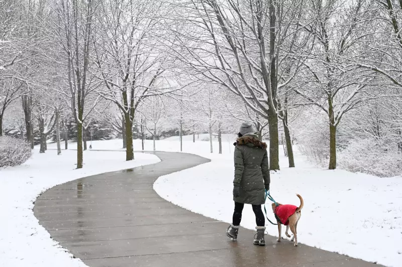 Toronto's First Snowfall: Up to 10 cm Expected Sunday