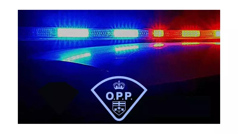 Tragic Crash Claims 3 Young Lives in Ontario, 1 Critically Injured