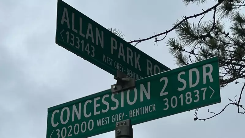 Tragic Ontario Crash Claims 3 Young Lives, 1 Critically Injured