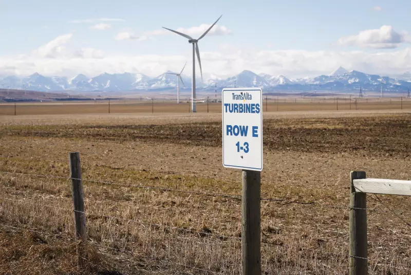 TransAlta Plunges Into Q3 Loss as Power Prices and Hedging Woes Hammer Earnings