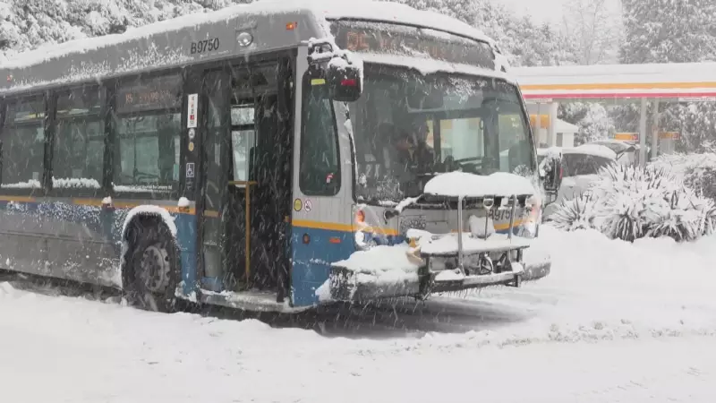 TransLink's Winter Weather Plan: How Vancouver Prepares for Snow
