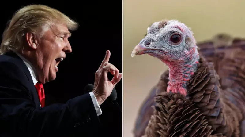 Trump's Thanksgiving 'Surroundings' Remark Sparks Online Mockery