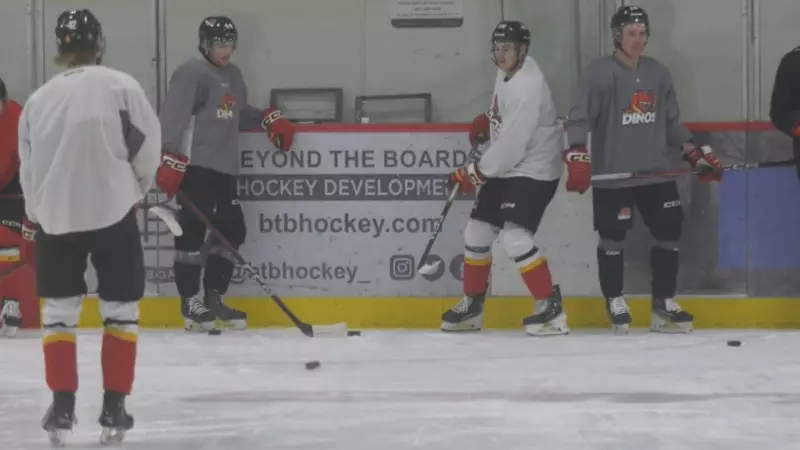 U of C Dinos Men's Hockey Team Off to Roaring Start This Season