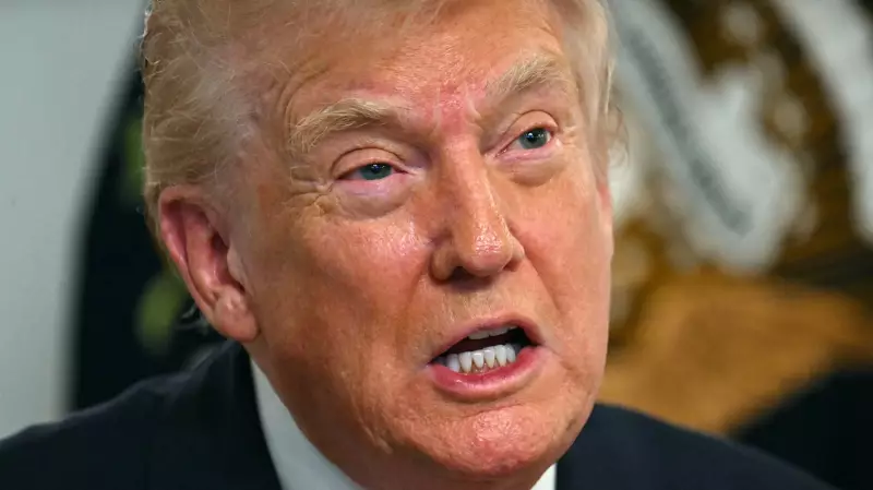 UN Urges US to Uphold Asylum Access After Trump's Migration Vow