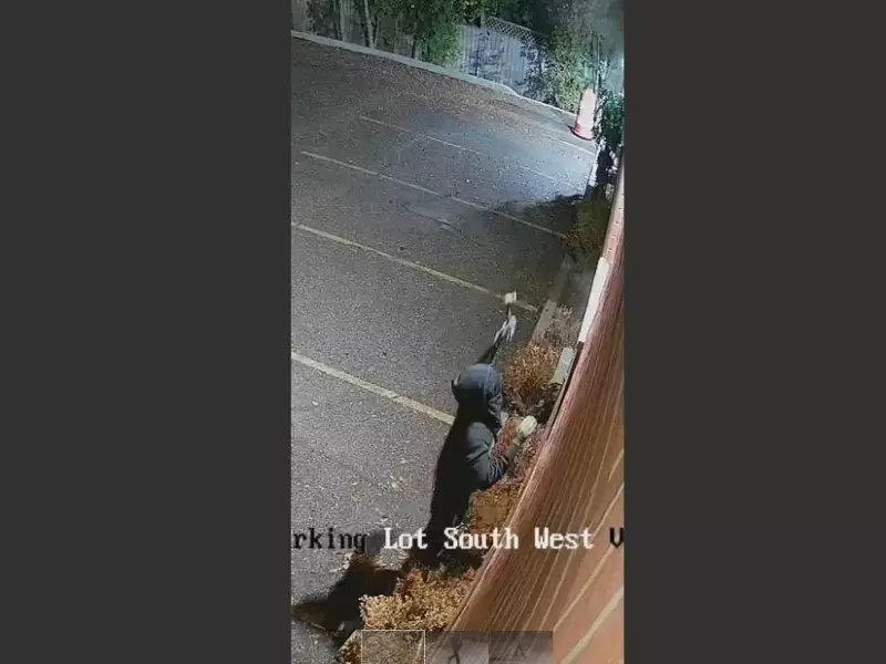 United Against Hate: How Jewish and Chinese Communities Are Forging Alliances in Canada