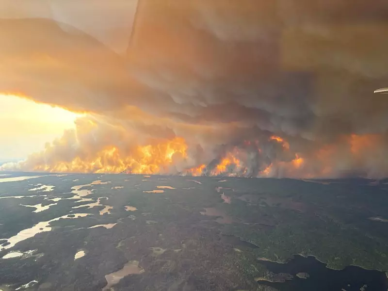 U.S. Urges Canada to Ramp Up Forest Management as Wildfires Rage | Cross-Border Strategy Debate