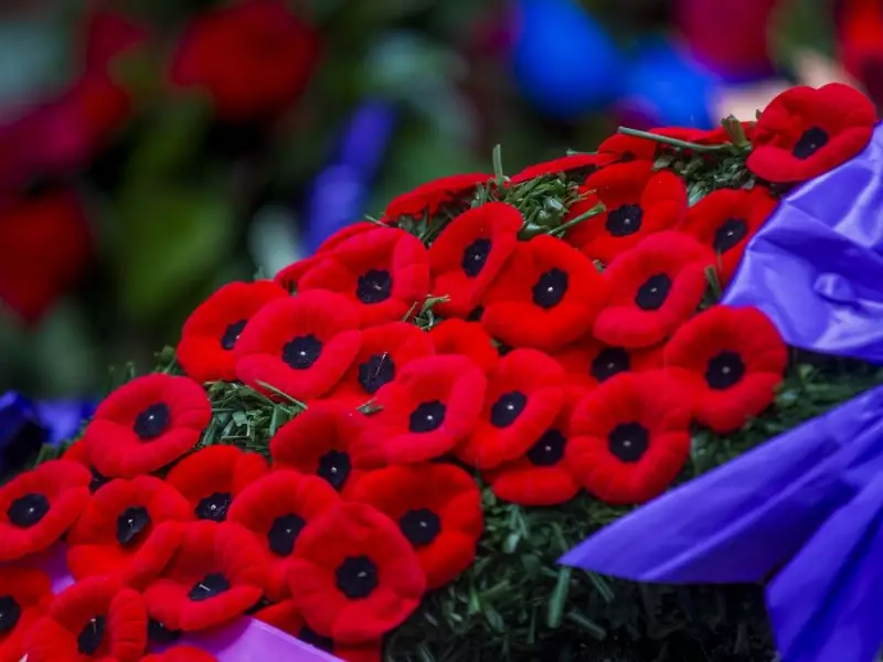 Veterans Affairs Faces $4.2B Cuts Amid Remembrance Day Thanks