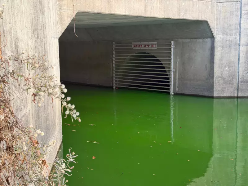 Vivid Green Water Discovery in Windsor Creek Sparks Investigation