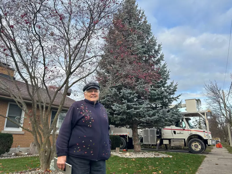 Waterloo's New Christmas Tree: Heartwarming Donation from Kitchener Family