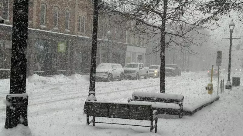 Whiteout Conditions Force Grey County School Bus Cancellations